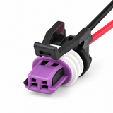 Pre-wired / Purple