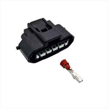 MG640945