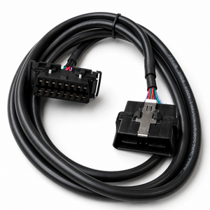 Z251