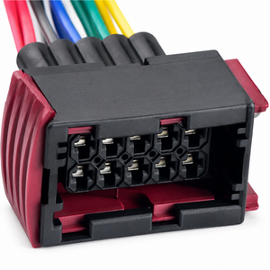 HOT/H12/10PinCable
