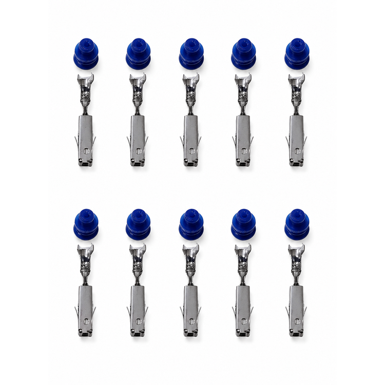 P05/10pcs