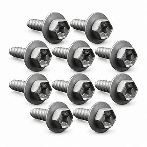 KAZ/B384/10pcsScrews