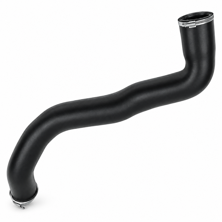 BOTTOM-T/M225
