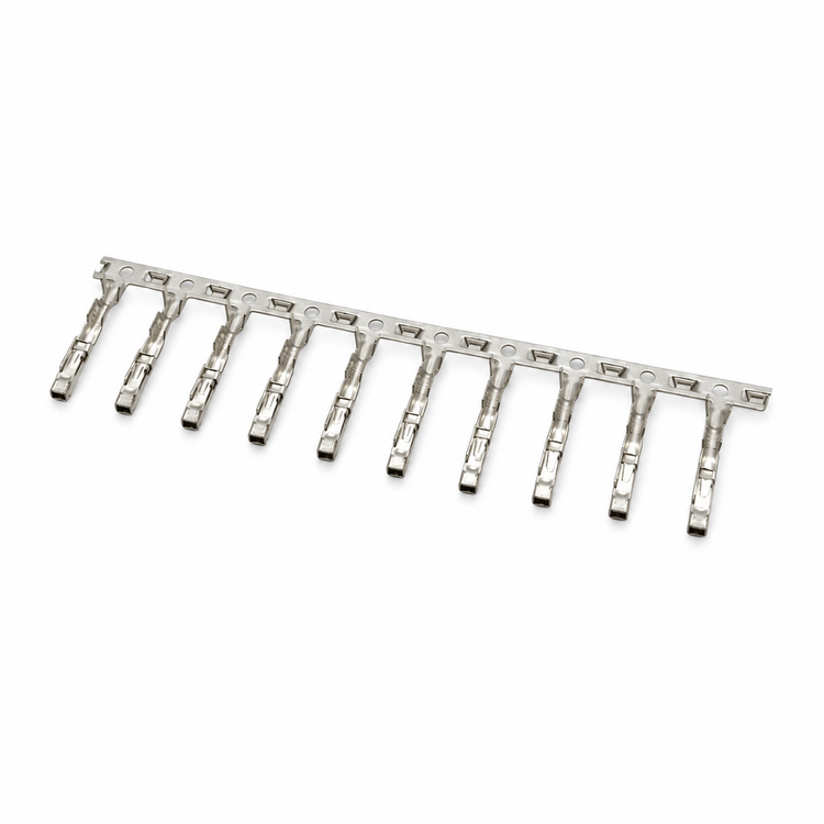 Y73.B/10Pins