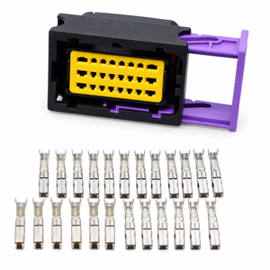 24 Pin ECU Connector Plug Socket & Pins for FCI Delphi Female 211PC249S8005