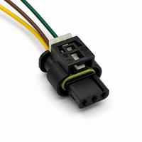 plug with wires 1