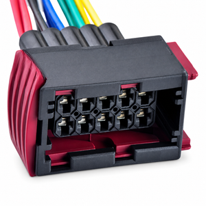 HOT/H12/10PinCable