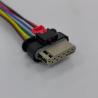 6 Pin