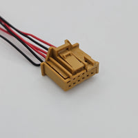 Braunes Weibchen 15CM