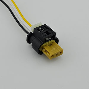 MA317