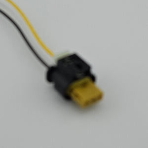 MA317
