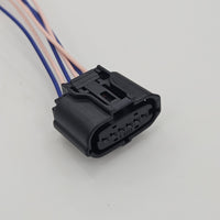 Black Female 15CM