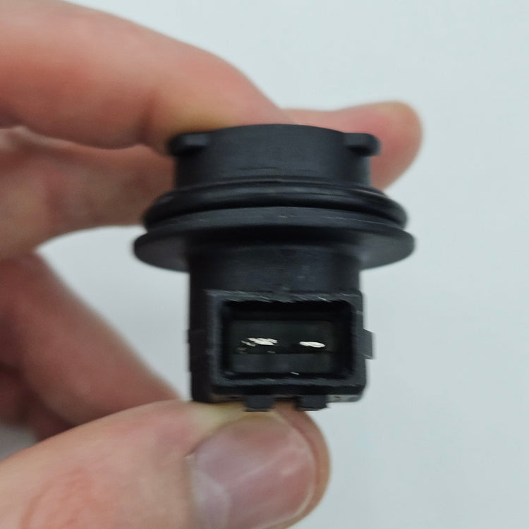 MA381
