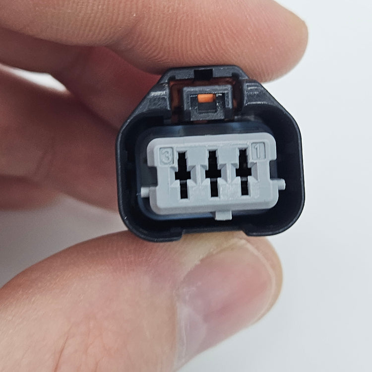 MA491