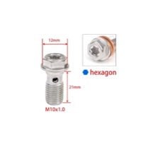 Universal 304 Stainless Steel Motorcycle Brake Caliper Banjo Bolt Bleed Screw NippleFor Honda Yamaha Kawasaki Suzuki Motocross - M10x1.0x21