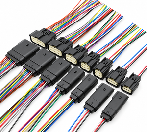 2 Pin to 20 Pin Molex MX150 Motorcycle Automotive Male Female Connector Plug Kit